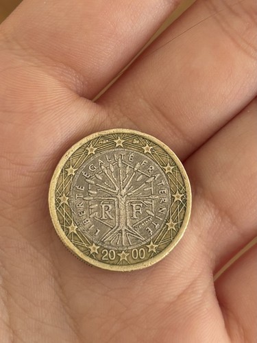 France euro coin - €1,